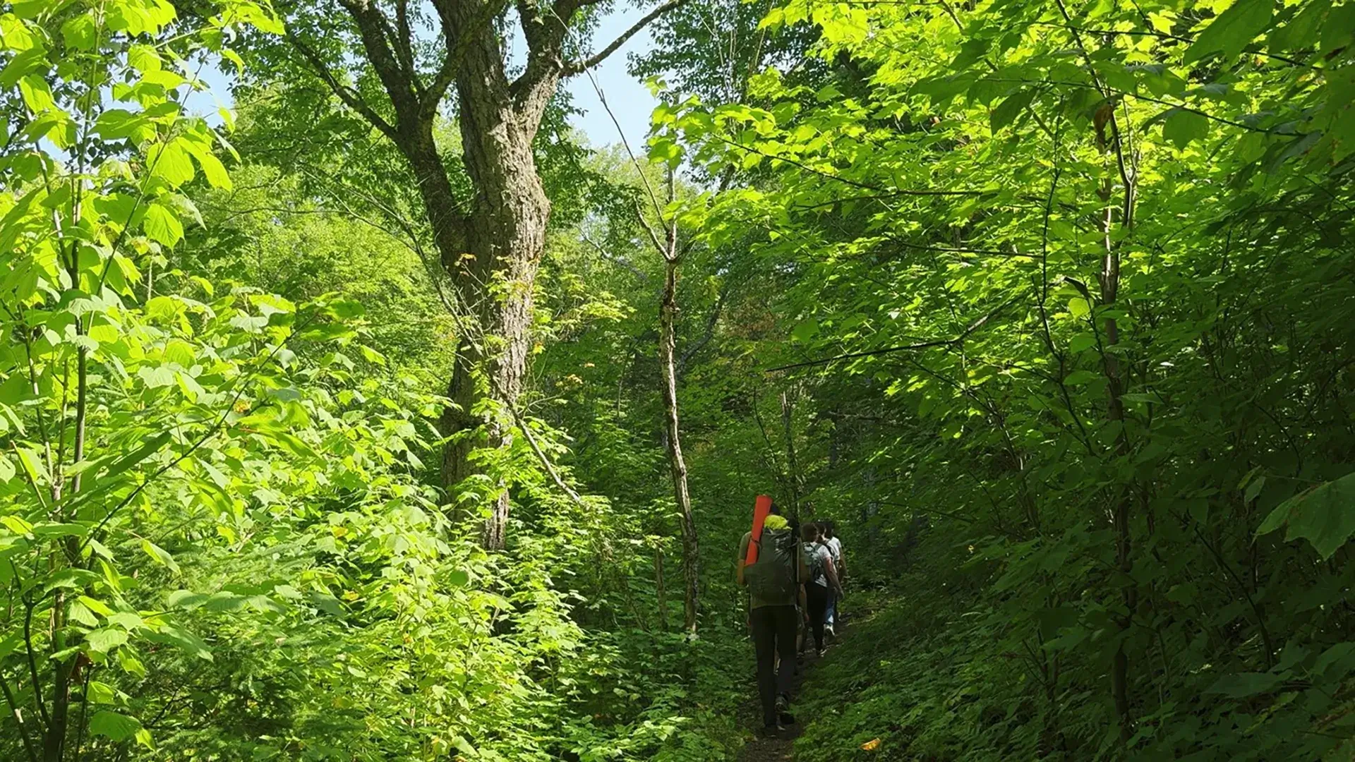 Randonneurs au Mont Charles Édouard Vézina